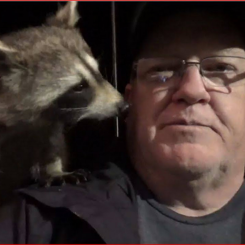 James Blackwood - Raccoon Whisperer