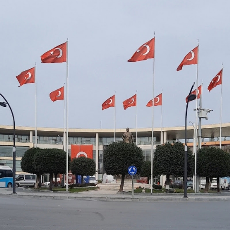 Bitki Dünyası
