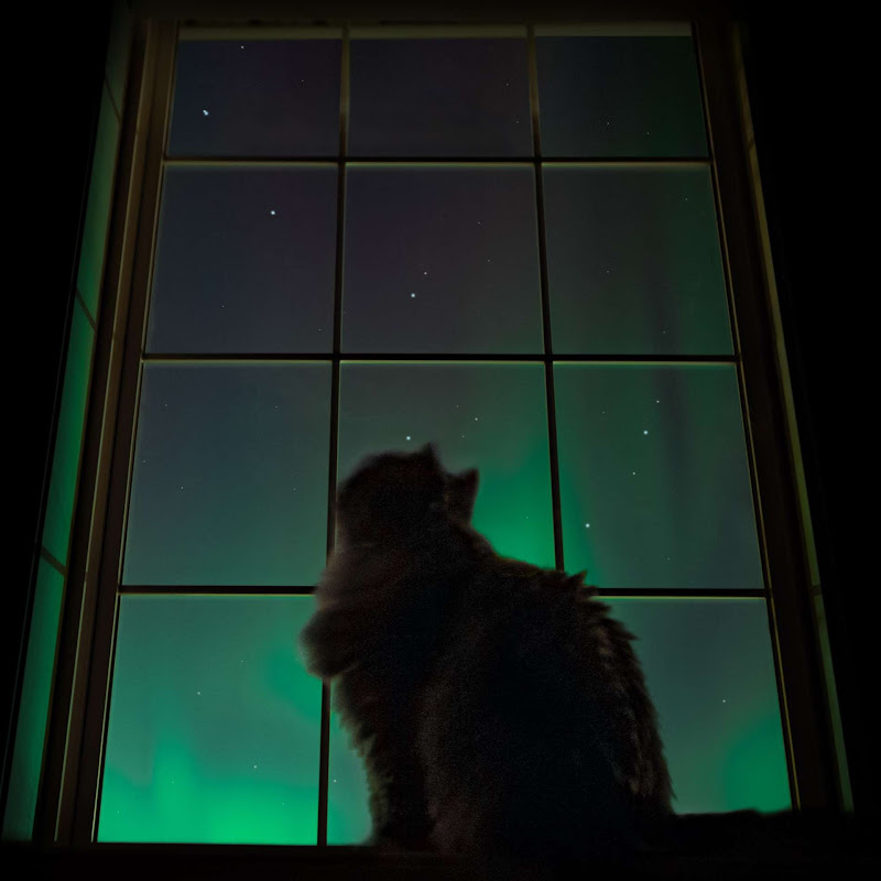 Infinite Space