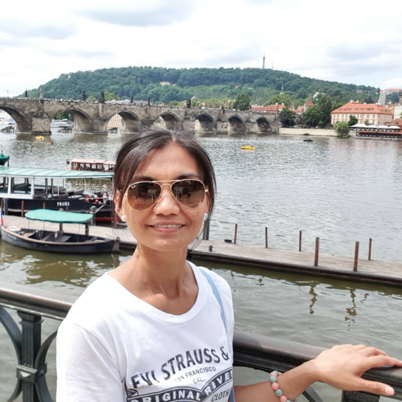 Pingkit Travel And Nature Videos