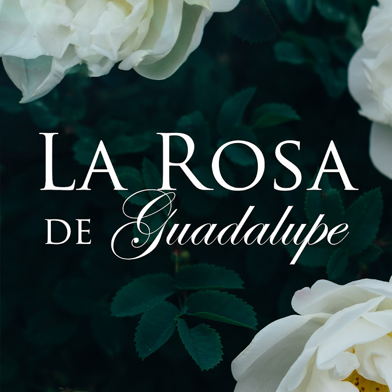 La Rosa De Guadalupe