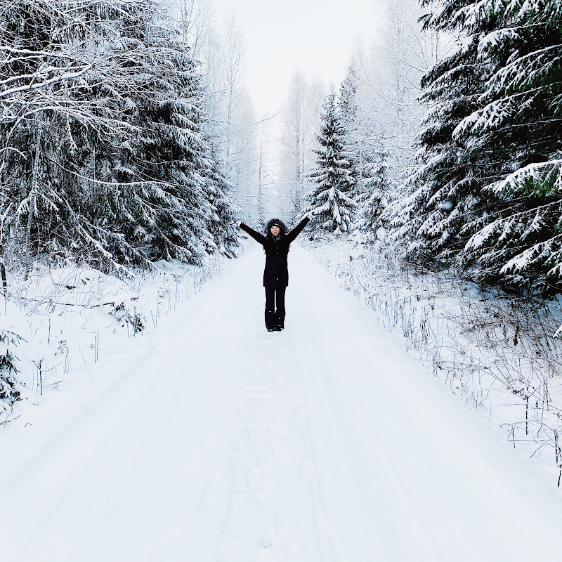 Finlandia Diaries