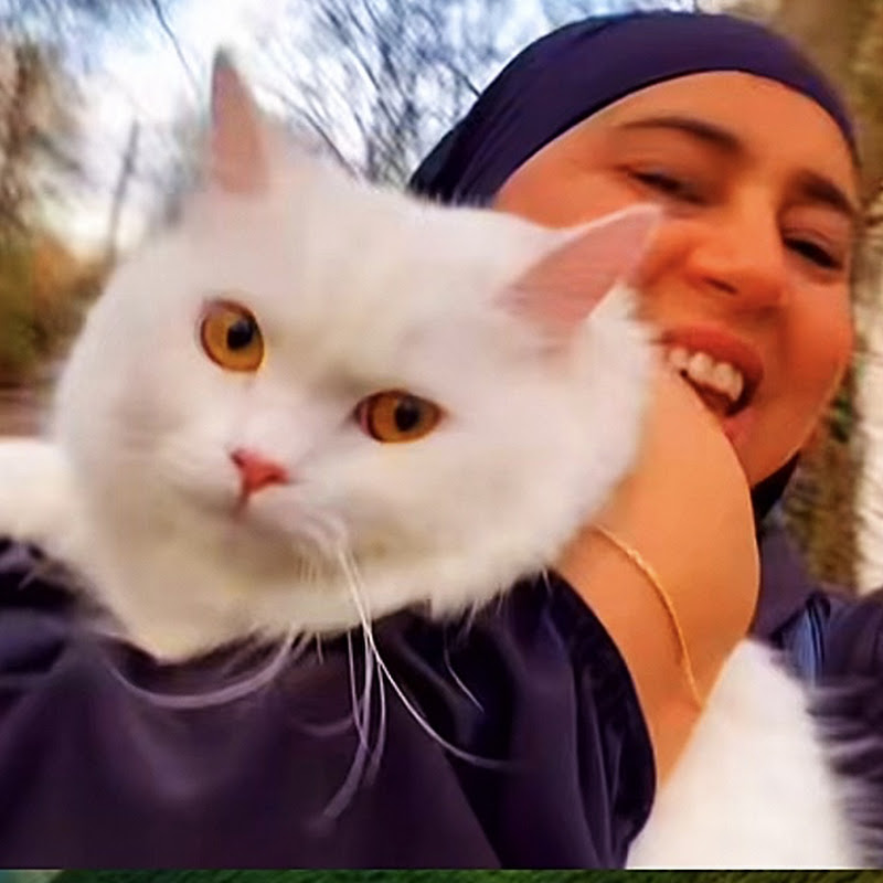 Lamrabat Vlog