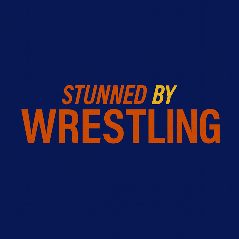 Stunned By Wrestling