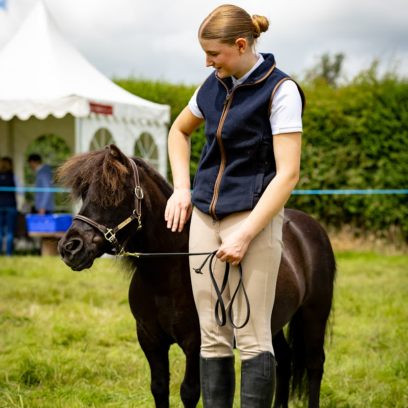 My Pony Harry