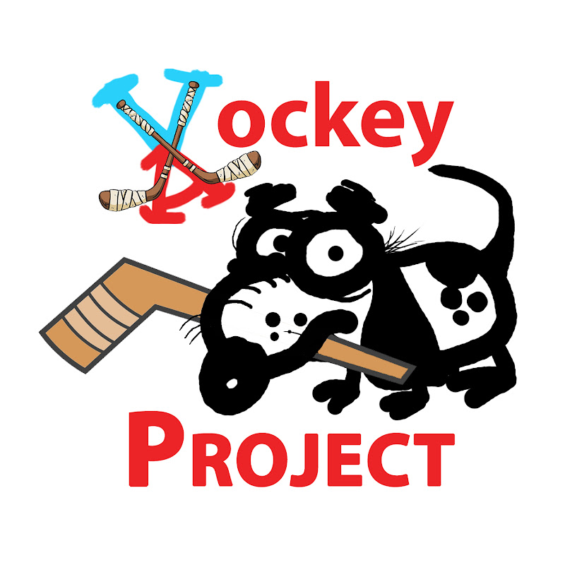 AV Hockey Project