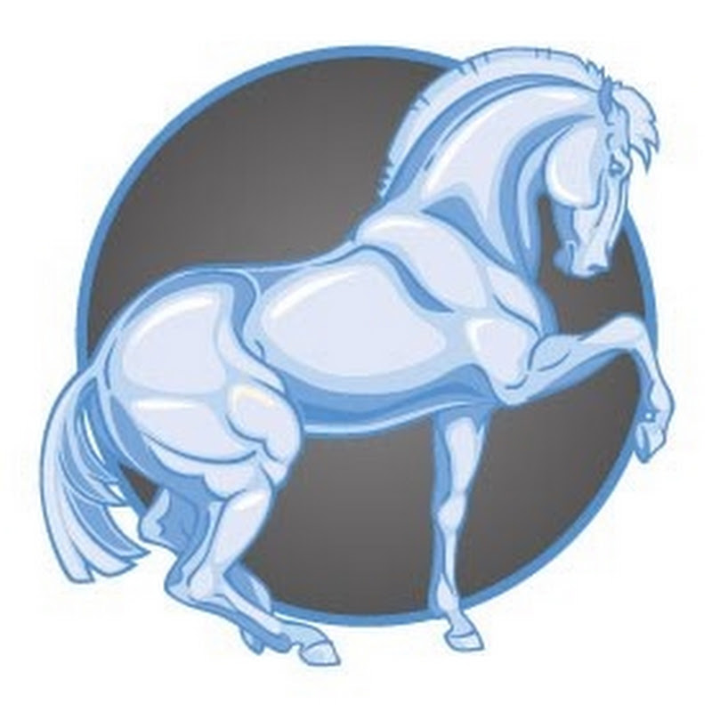 PaardenBegrijpen