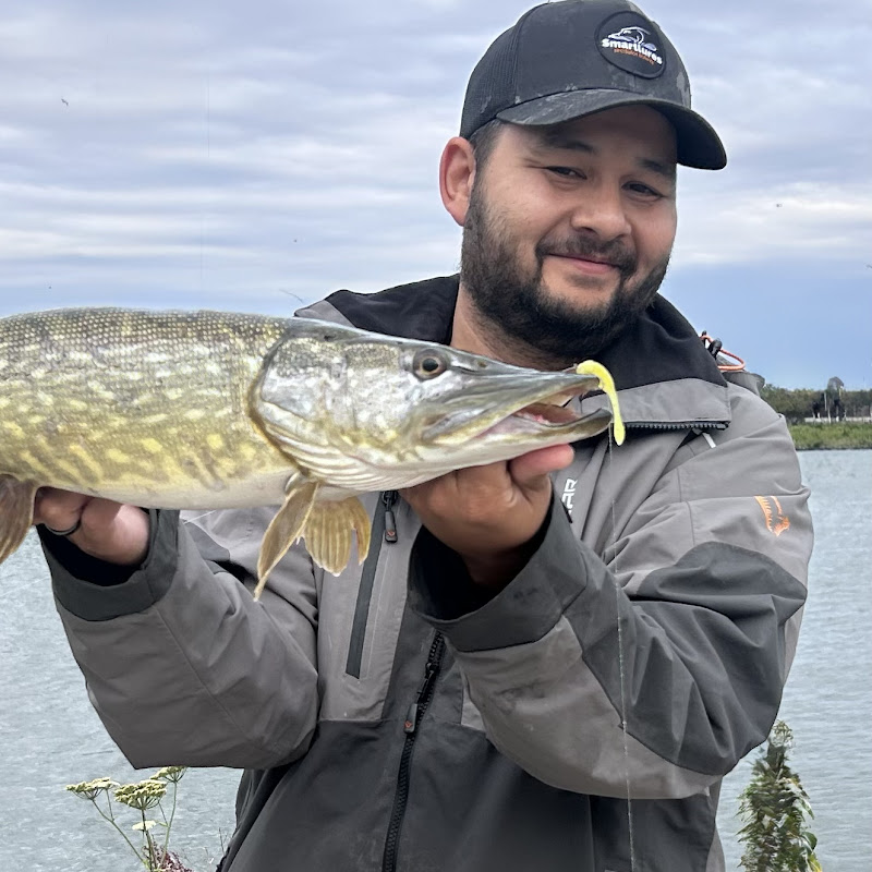 Dom's Fishing World