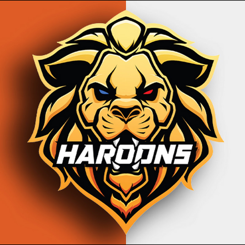 haroontwins