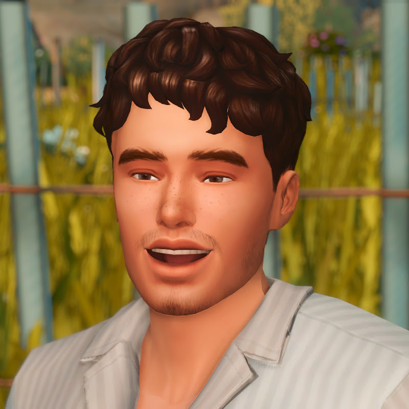 ludicsim