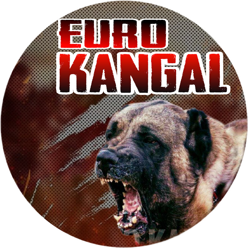 EURO KANGAL