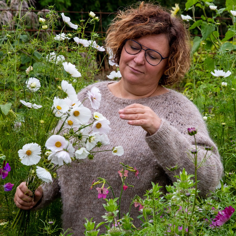 the woolly gardener