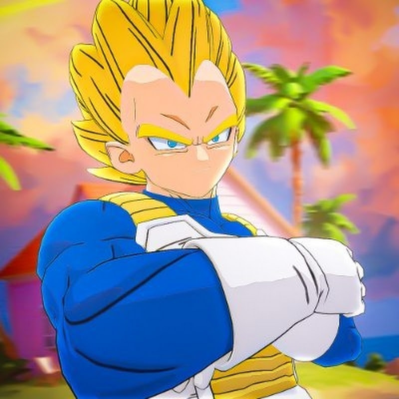 VEGETA GLITCHEUR
