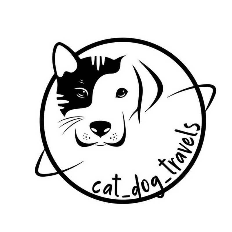 Cat_dog_ travels