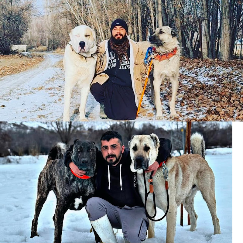 Dağların Efendisi