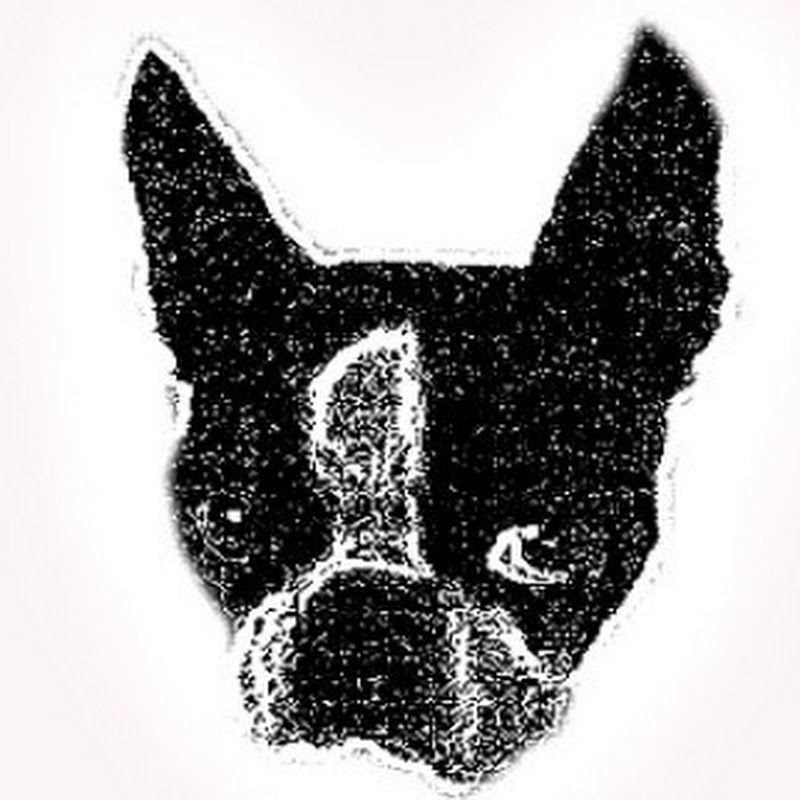 Dog E-Training