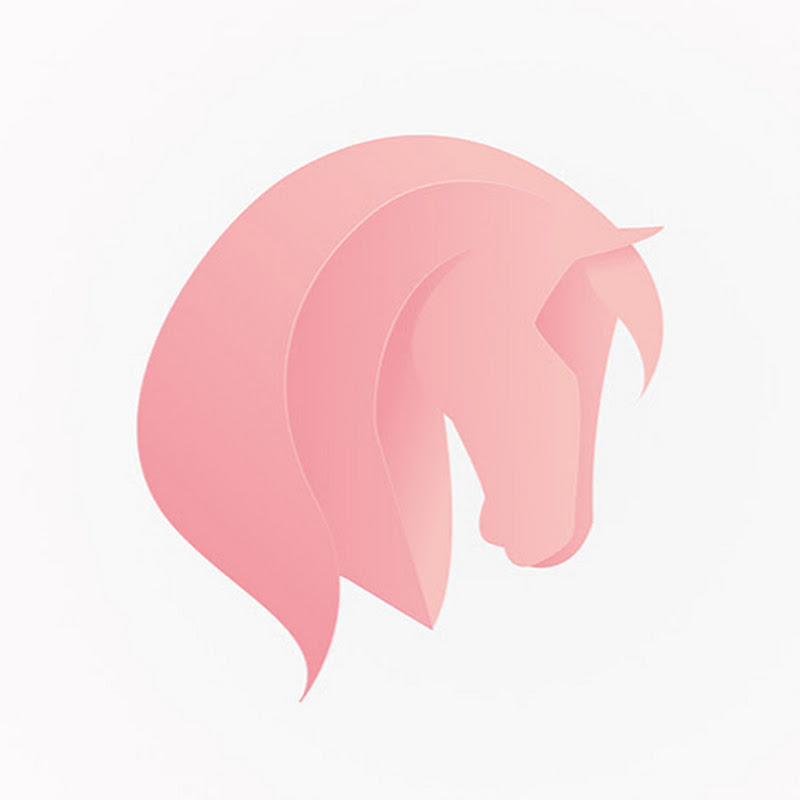 Equestrian The Game