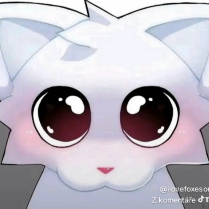 X3