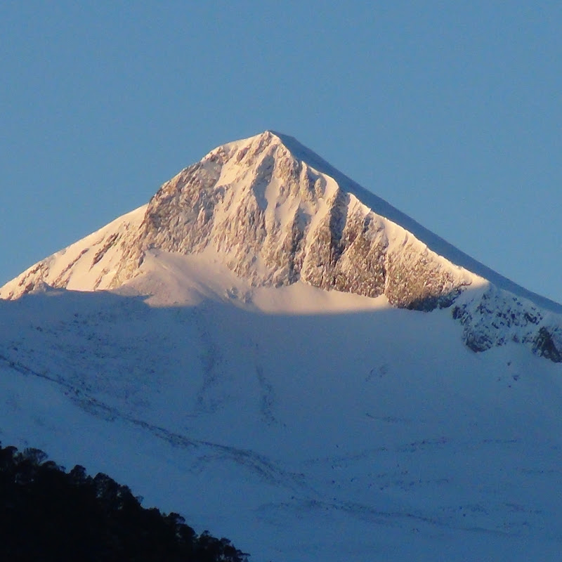 Vestnes Video