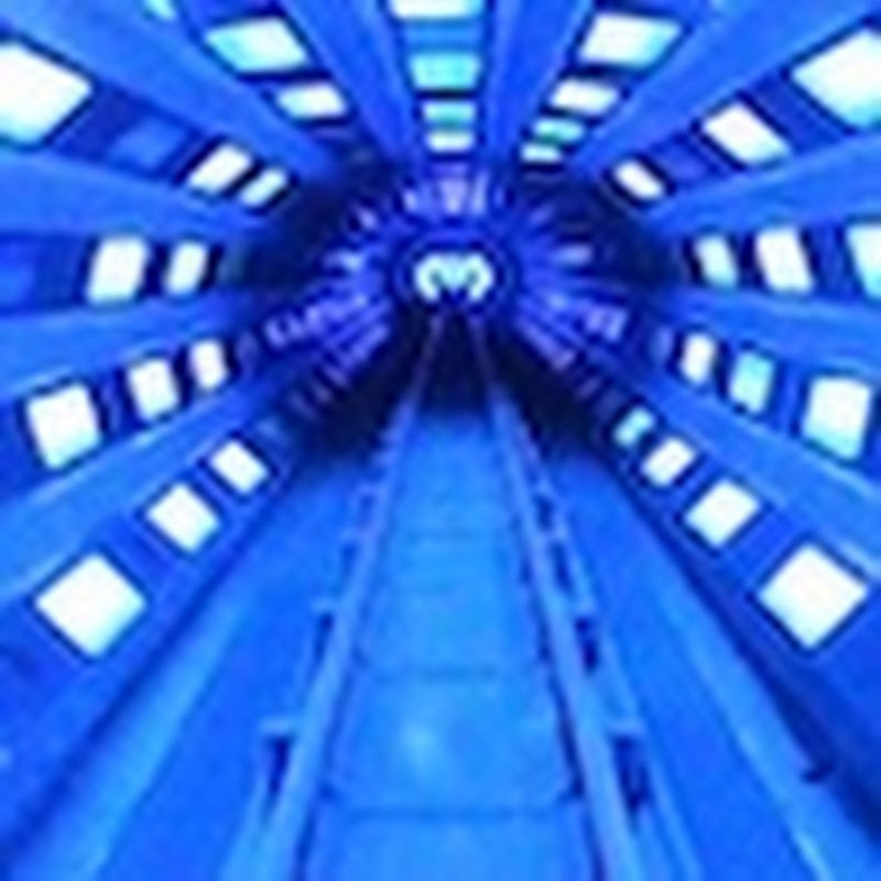 TheCoasterViews
