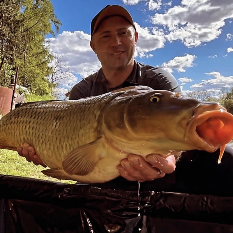 WILD CARP  and Food