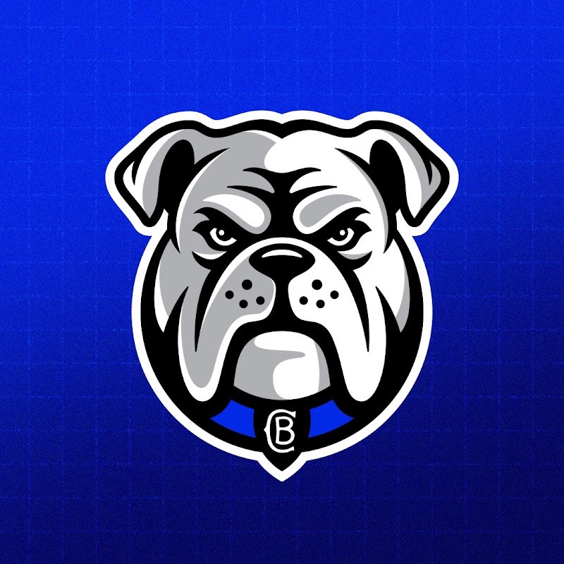 Canterbury-Bankstown Bulldogs