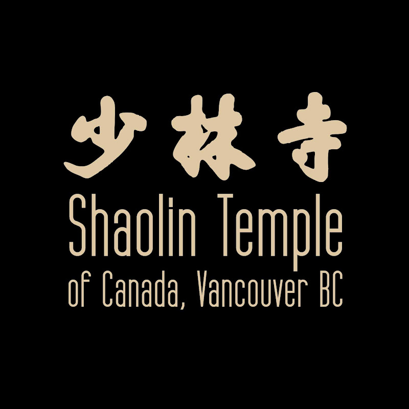 Shaolin Temple Video