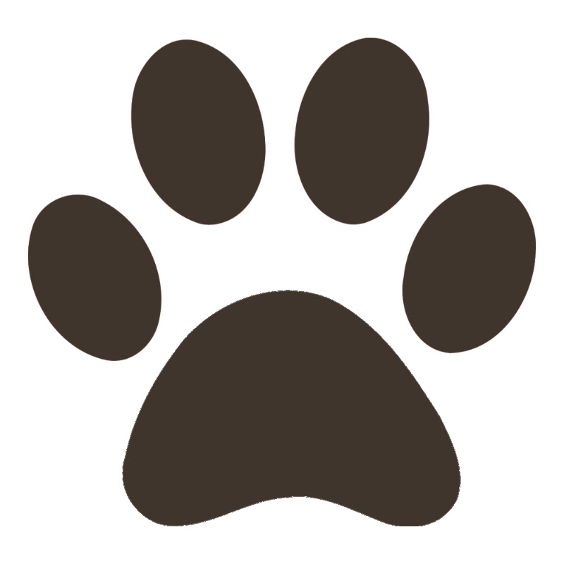 Perros Mundo