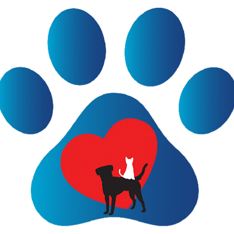 Paws Paws