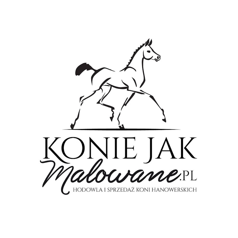 konie jak malowane