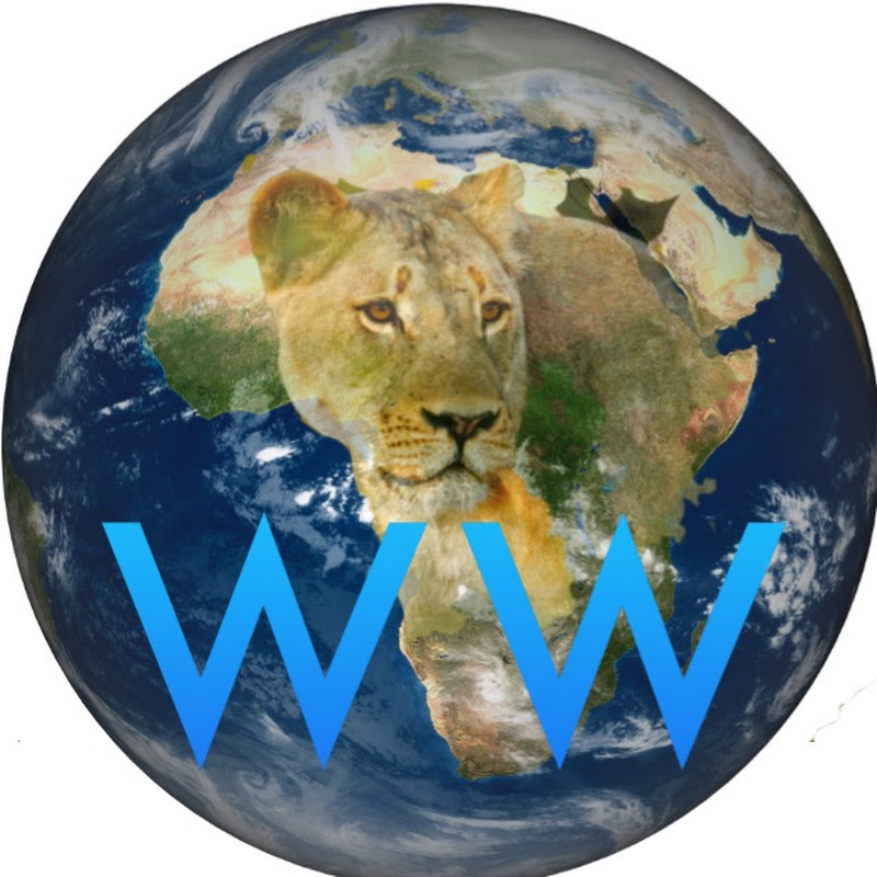 Wild World