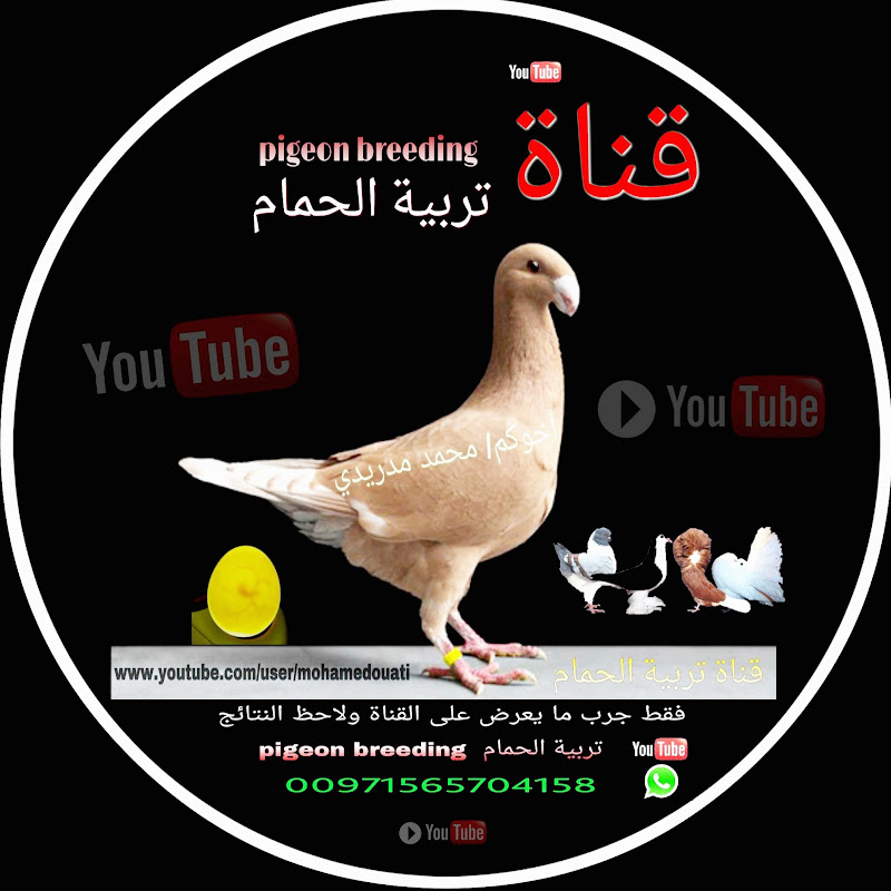 تربية الحمام Breeding Pigeons