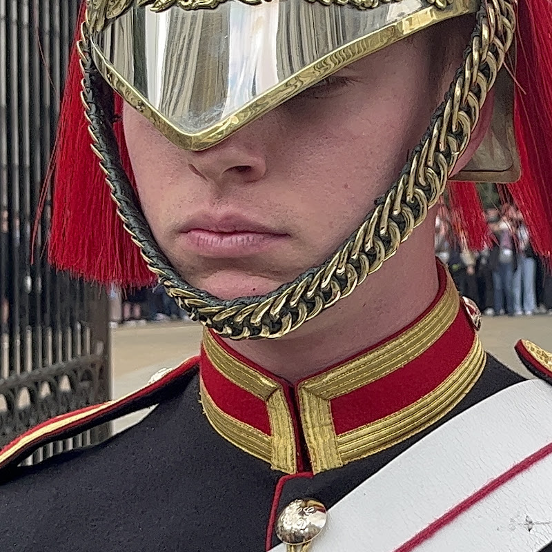 The King's Guard's And Royal Horses