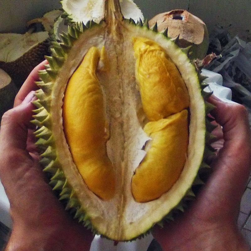 Sweet Natural Living