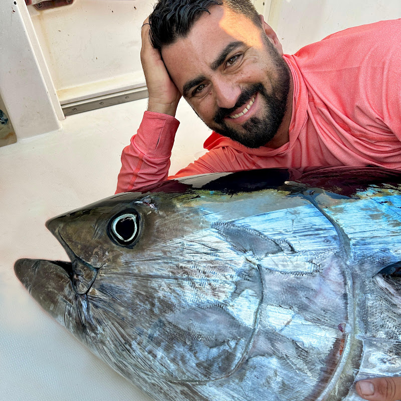 Balık Günlükleri