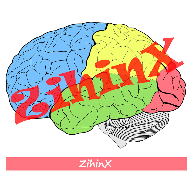 ZihinX