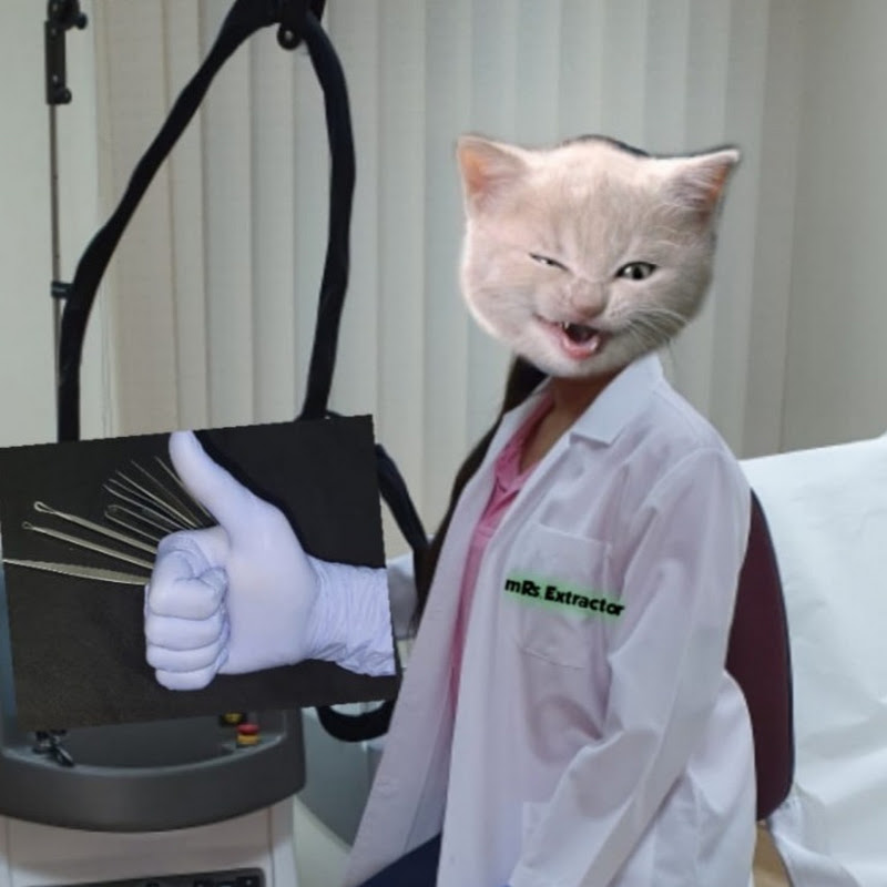 MRs.Extractor