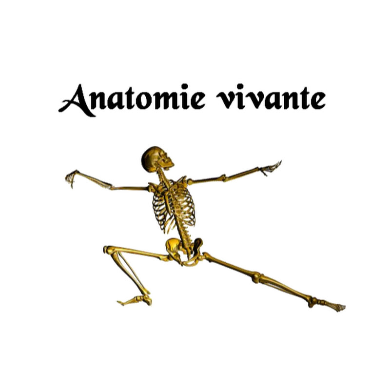 Anatomie Vivante