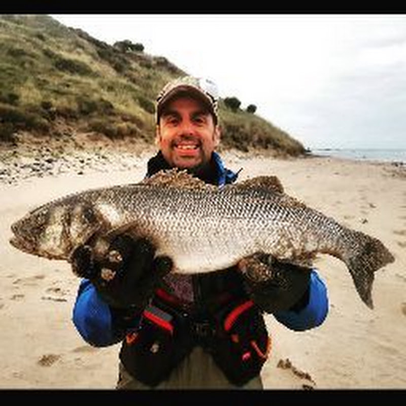 Bass Fishing Ireland