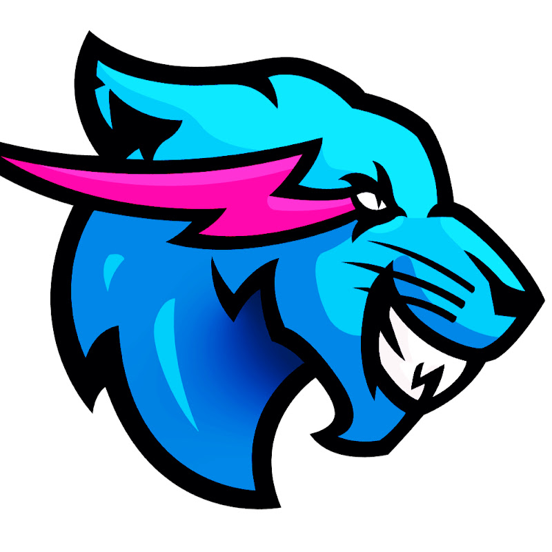 MrBeastGaming