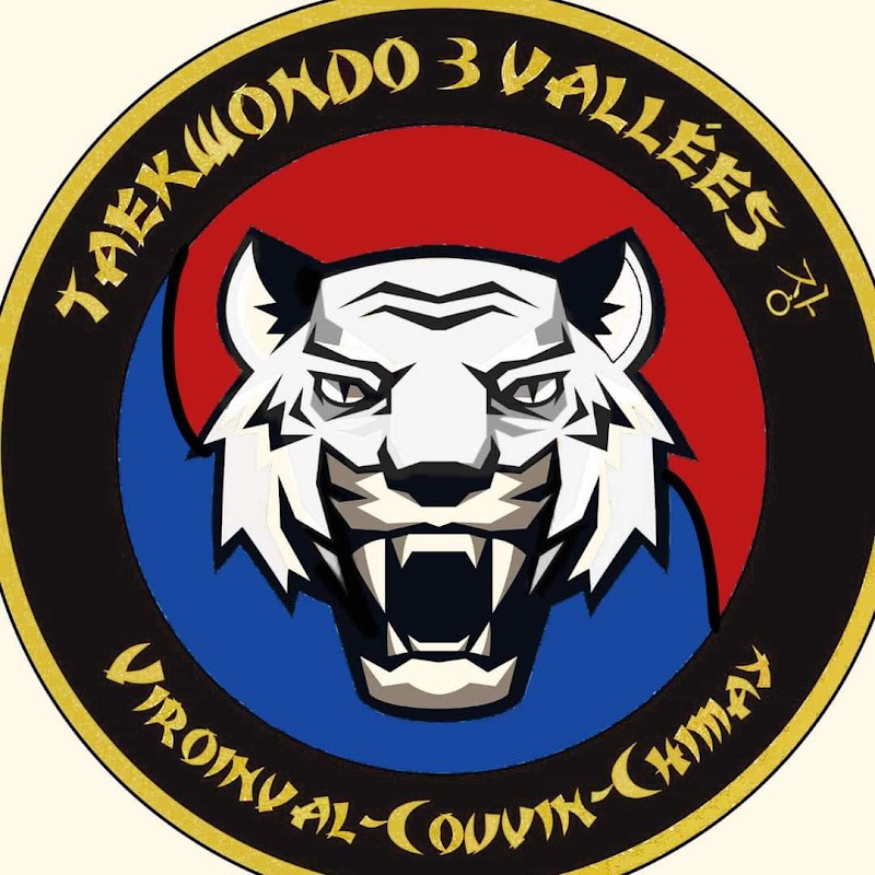 Todo 3 Taekwondo Chang