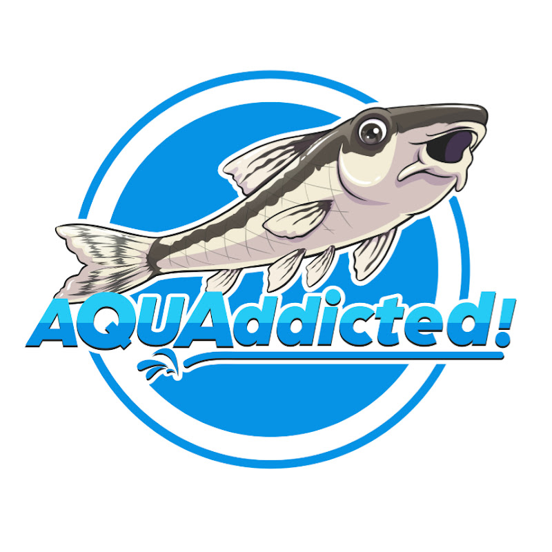 AQUAddicted!