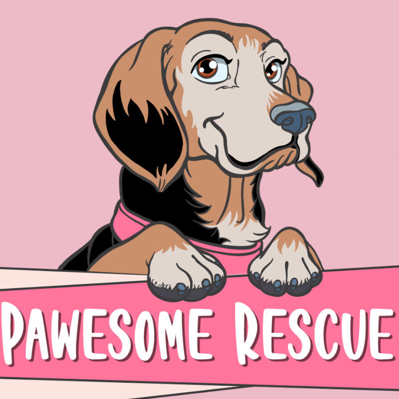 Pawesome Rescue