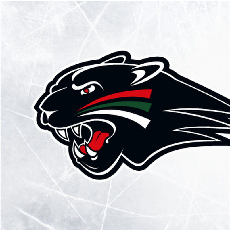 Augsburger Panther