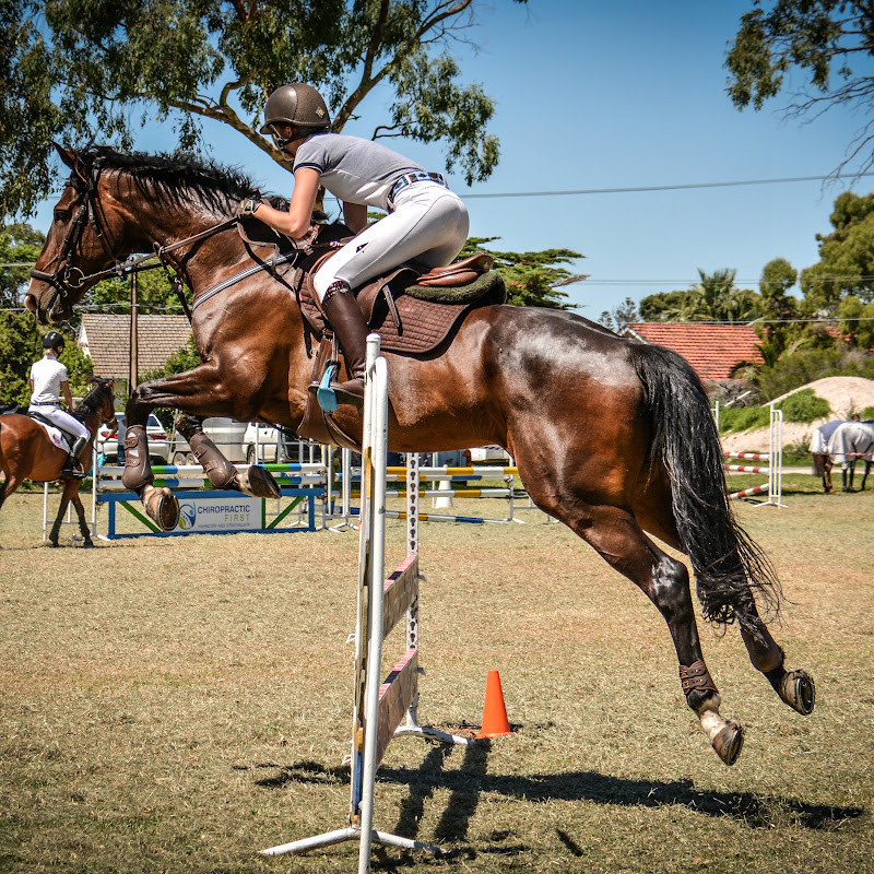 HLH Equestrian