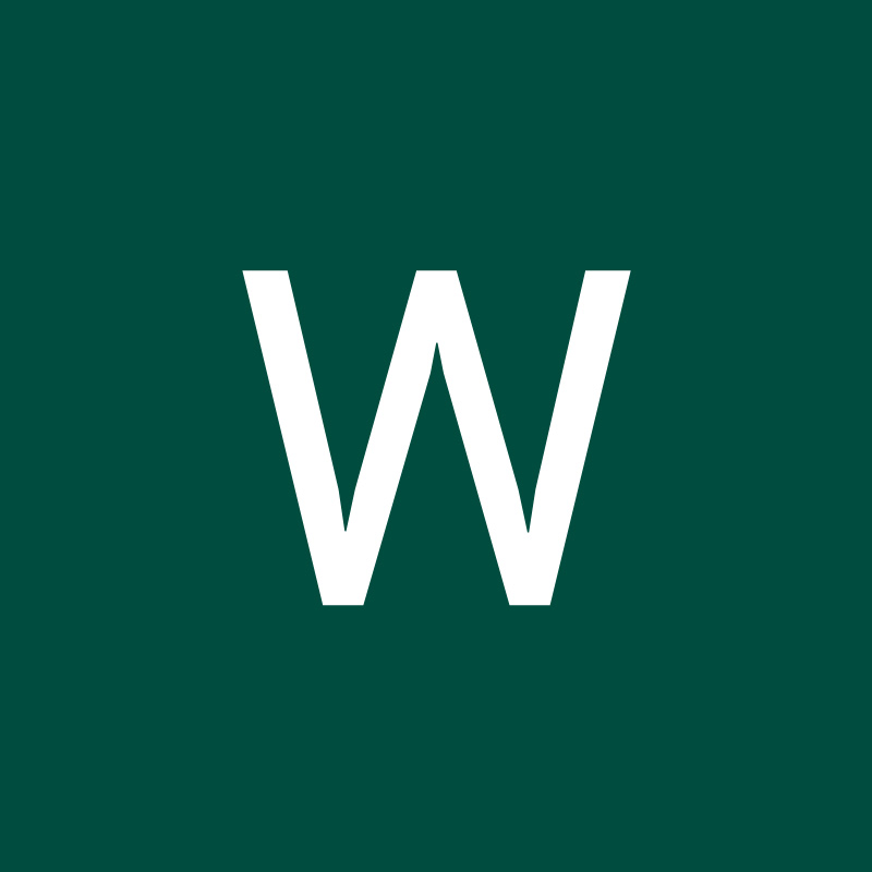 Wiwter96