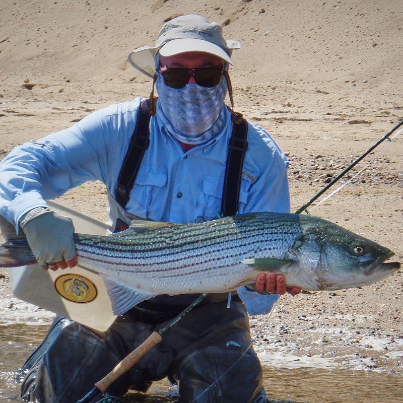 Hooked4lifeca