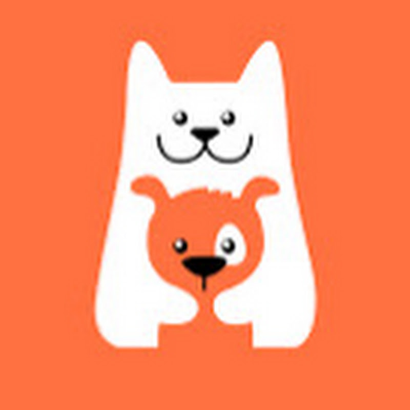Funny Pets