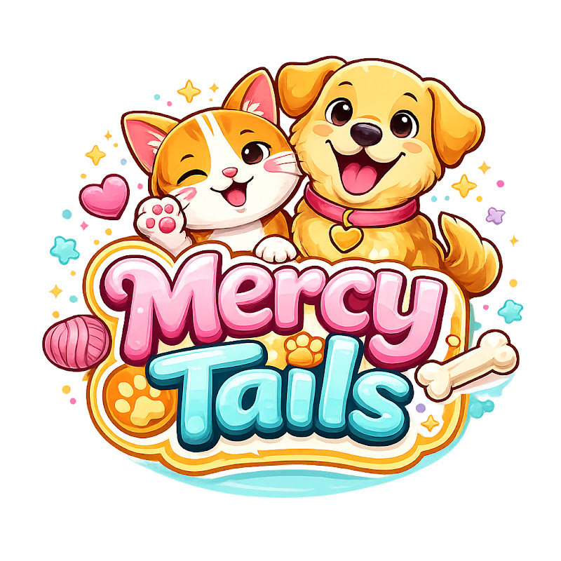 4 Paws Rehabilitation