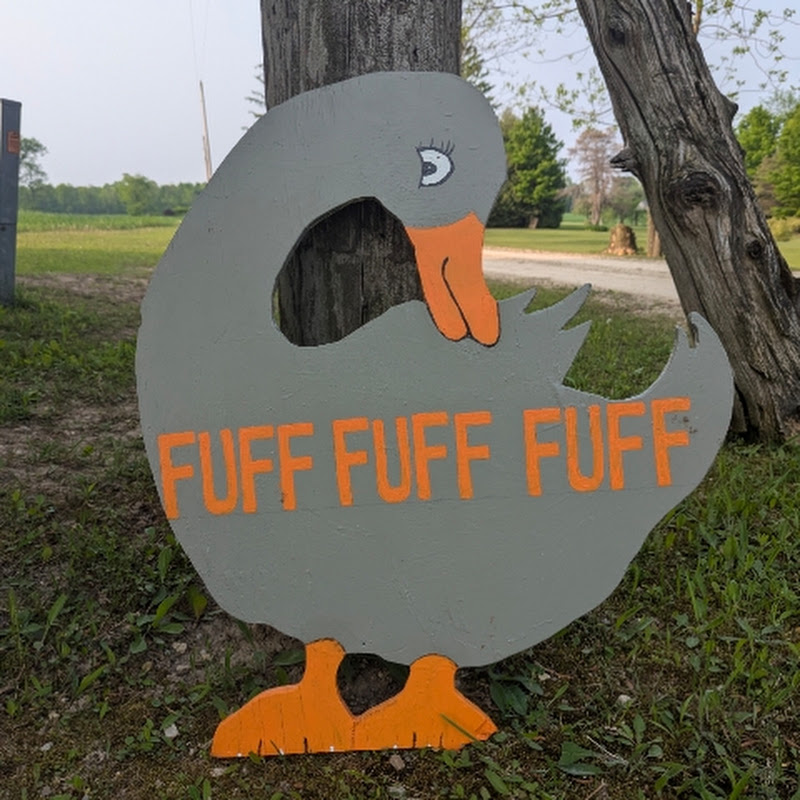 Fuff Fuff Fuff